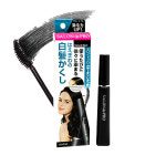 살롱드프로 새치 마스카라 15ml