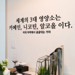 꾸밈 ia671-3대영양소 중형 그래픽스티커