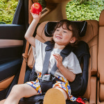 순성 빌리 휴대용 카시트 (ISOFIX)