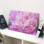 꾸밈 tc484-아크릴액자 부귀모란화 대형