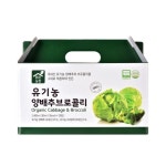 맑은농장 유기농 양배추브로콜리 80ml x 30포