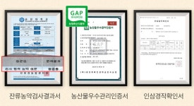 금산 인삼 원수삼 대 375g 5년근 진공포장 인삼주 백숙삼 담금주 인삼차 국산 국내산 삼 수삼 난발삼