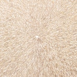 모던하우스 엔티크 라운드식탁매트