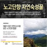 노고단향 자연숙성꿀 아카시아꿀 지리산토종꿀 천연벌꿀 2 4kg