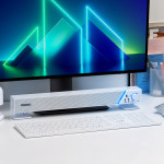 로이체 로이체 RSB-3000