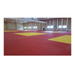 오성 오성 유도매트 OSG-1900