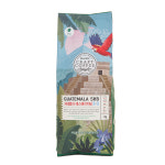 엠아이커피 PEACOCK 과테말라 에스에이치비 홀빈 