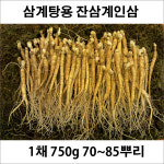 금산수삼시장 삼계탕인삼 중 삼계삼 30 40뿌리내외