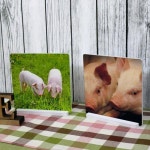 꾸밈 ig724-스탠드액자2P 새끼돼지두마리