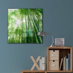 꾸밈 pc707-폼아크릴액자38CmX38Cm 풍수대나무숲2