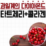 천연채 타트체리 콜라겐 분말 100g