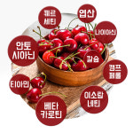 천연채 타트체리 콜라겐 분말 100g