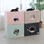 초코펫하우스 탈취 헬사클린 장영실상수상 365 다기능캣하우스