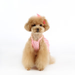 이츠독 롤리팝 프릴 나시 핑크2XL