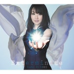 NANA MIZUKI 미즈키 나나 - EXTERMINATE 33RD SINGLE