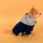 다솜 다솜 다솜 네오프렌 코트