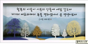 42생명나무 시리즈 - 헐몬의이슬