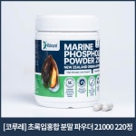코루레 초록입홍합 분말 파우더 21000 220정