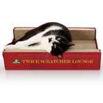 퀸펫 트와이스 스크래쳐 라운지