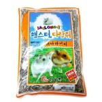 재롱이 해바라기씨 400g 햄스터먹이 다람쥐 보조 400g 1개