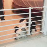 파파스 애견 안전문 울타리 압축선반 펜스