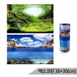 삼호 백스크린 양면 수족관배경 어항배경 C606130