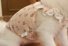 하늘멍멍 2컬러 사이즈 로렌하이 핸드메이드 프릴 탑