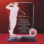 골프트로피 싱글패 홀인원트로피 트로피제작 싱글트로피 이글트로피 홀인원패 이글패 골프패 DS13-63