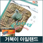 돌핀 거북이 아일랜드 대 일광욕섬