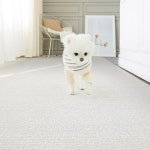 파크론 포근하개 와이더 펫 롤매트