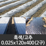 흑색 유공비닐 참깨 0 2구