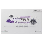 성진에이블 성진 성진 원적외선 자수정 맥반석 온열 전기 찜질기 분리세탁 타이머형 허리 복부 배 찜질팩