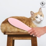 딩동펫 반려동물 고양이 혓바닥 그루밍 스틱