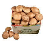 생표고버섯 상 1kg
