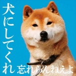Wasureranneyo 와스레란네요 - CD DVD 초회한정반