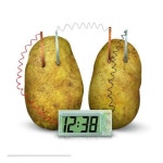 감자시계 DIY 과학 실험 키트 에너지 전기 화학 교육 감자시계키트 BL00533