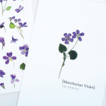 쁘띠팬시 쁘띠팬시 압화 스티커 6종 꽃스티커