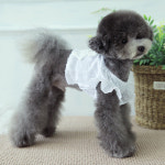 토토앤로이 토토앤로이 썸머 레이스리본 크롭 강아지 나시티 애견 민소매 티셔츠 여름 옷