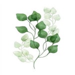 아이윙스 피포페인팅 보테니컬 DIY명화그리기 DIY그림그리기 Q3221