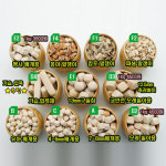 정직한편백 편백나무 큐브 칩 키즈카페 모래 놀이 실내 아이 아기 어린이집 입욕 옹이칩