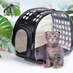 미소펫 반려동물 투명 클리어 캐리어 이동가방 케이지 소형