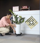 카페 홈가드닝 물받침 이동식 화분받침대 사각타입 중