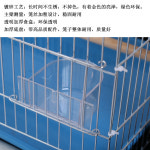 새장 팔형호피 도금 현봉앵무새 금속 크기 초대형 앵무새 번식장
