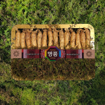 금산인삼 수삼선물용 바구니16호 원수삼중 700g 13 16뿌리