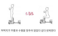 NEW 스쿼트머신 스쿼트기구 스쿼트 T-770