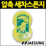 압축스폰지 W18464B