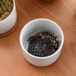 베스트하우스 베하몰 플라스틱 분갈이 망 화분깔망