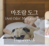 마조람 도그 1리터 프레그런스오일