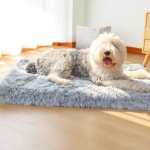반려동물 잠이솔솔 소프트 방석 M