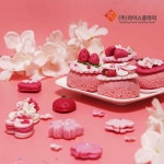 라이스클레이 쌀이랑놀자 반달떡 만들기 DIY 세트 송편 키트 - 핑크딸기앙금떡 베이직